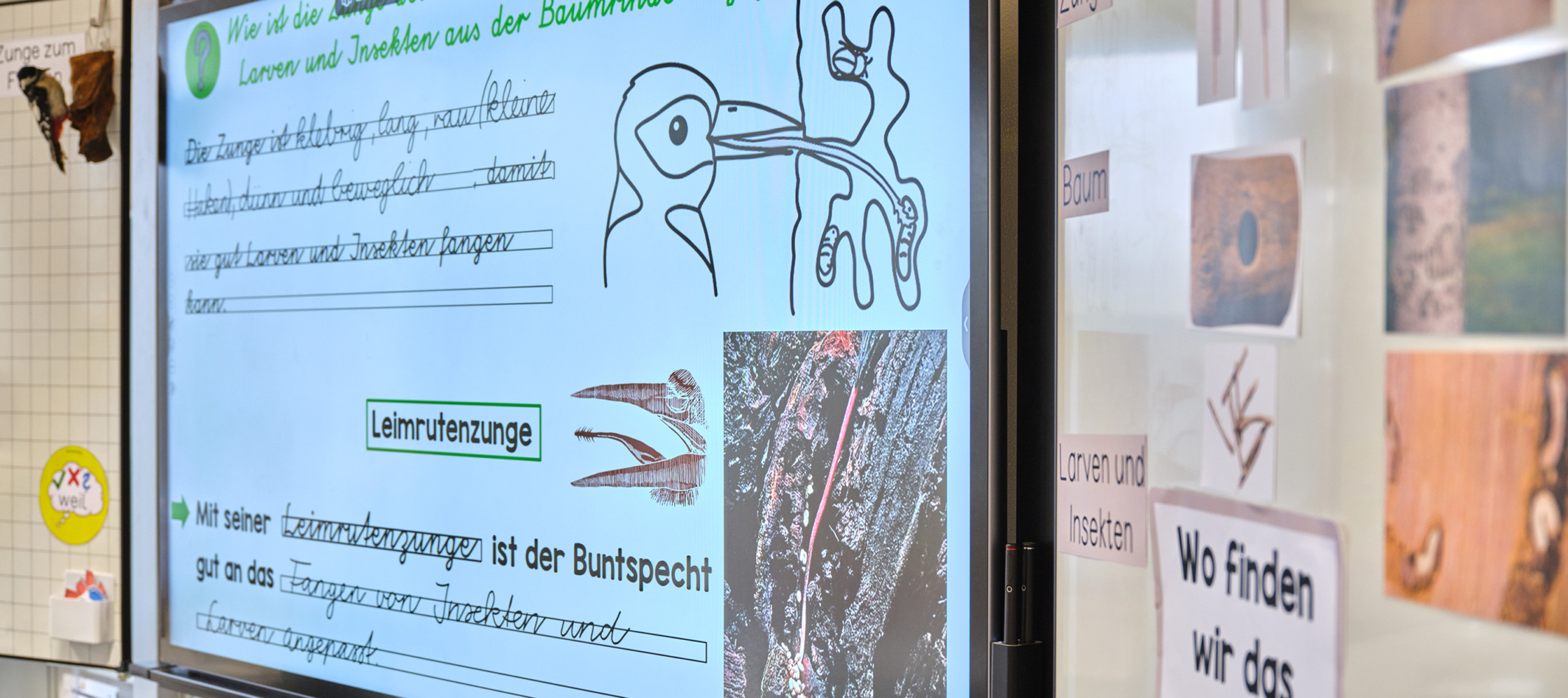 Grundschule Hauzenberg, Digitale Ausstattung