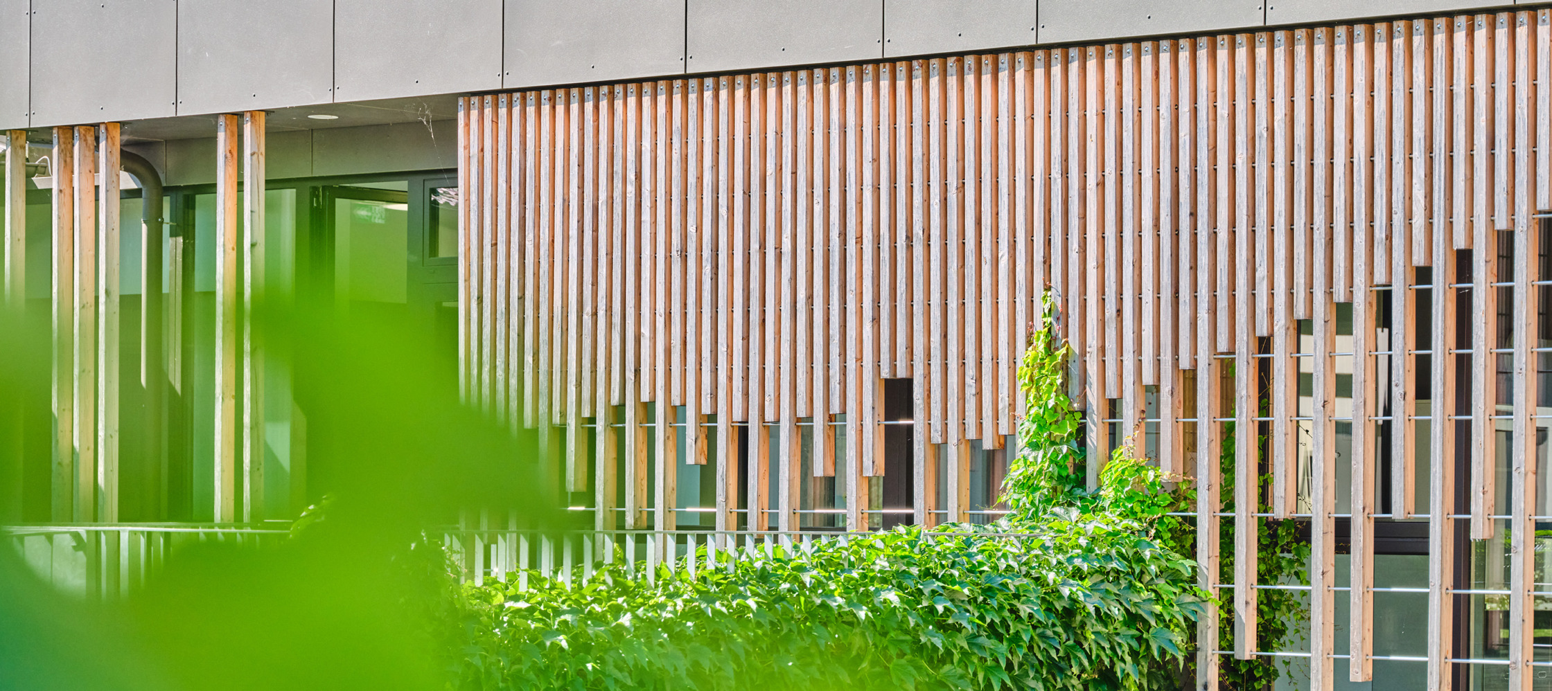 Grundschule Hauzenberg, Fassade