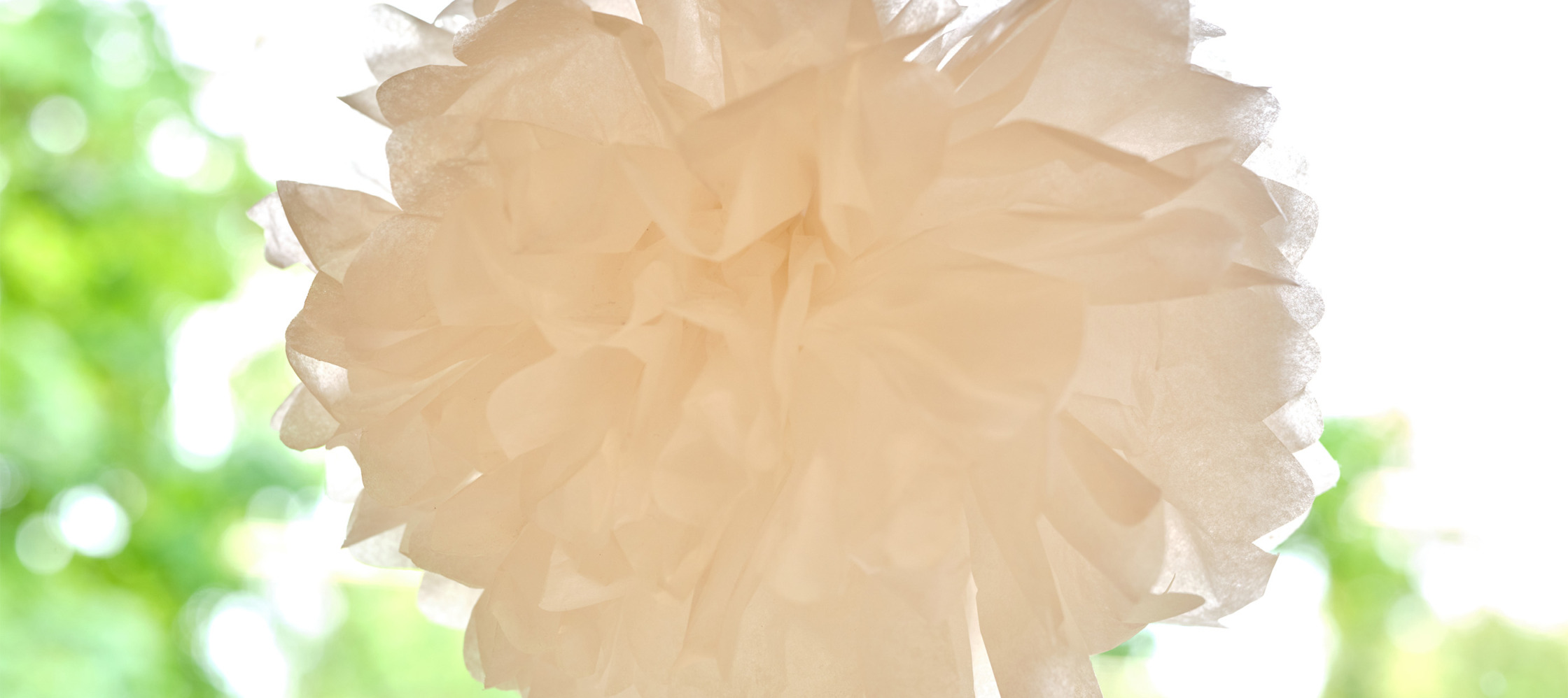 Grundschule Hauzenberg, Impressionen